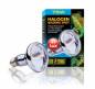 Preview: Exo Terra Halogen Basking Spot